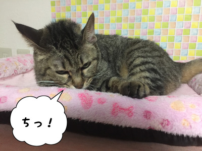 FEE78B0D-42CA-48CD-A905-5985A15B3802
