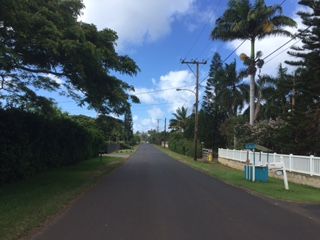 IMG_0379