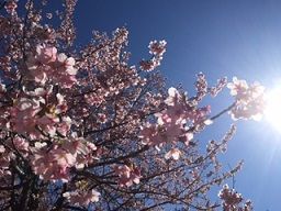 IMG_1506