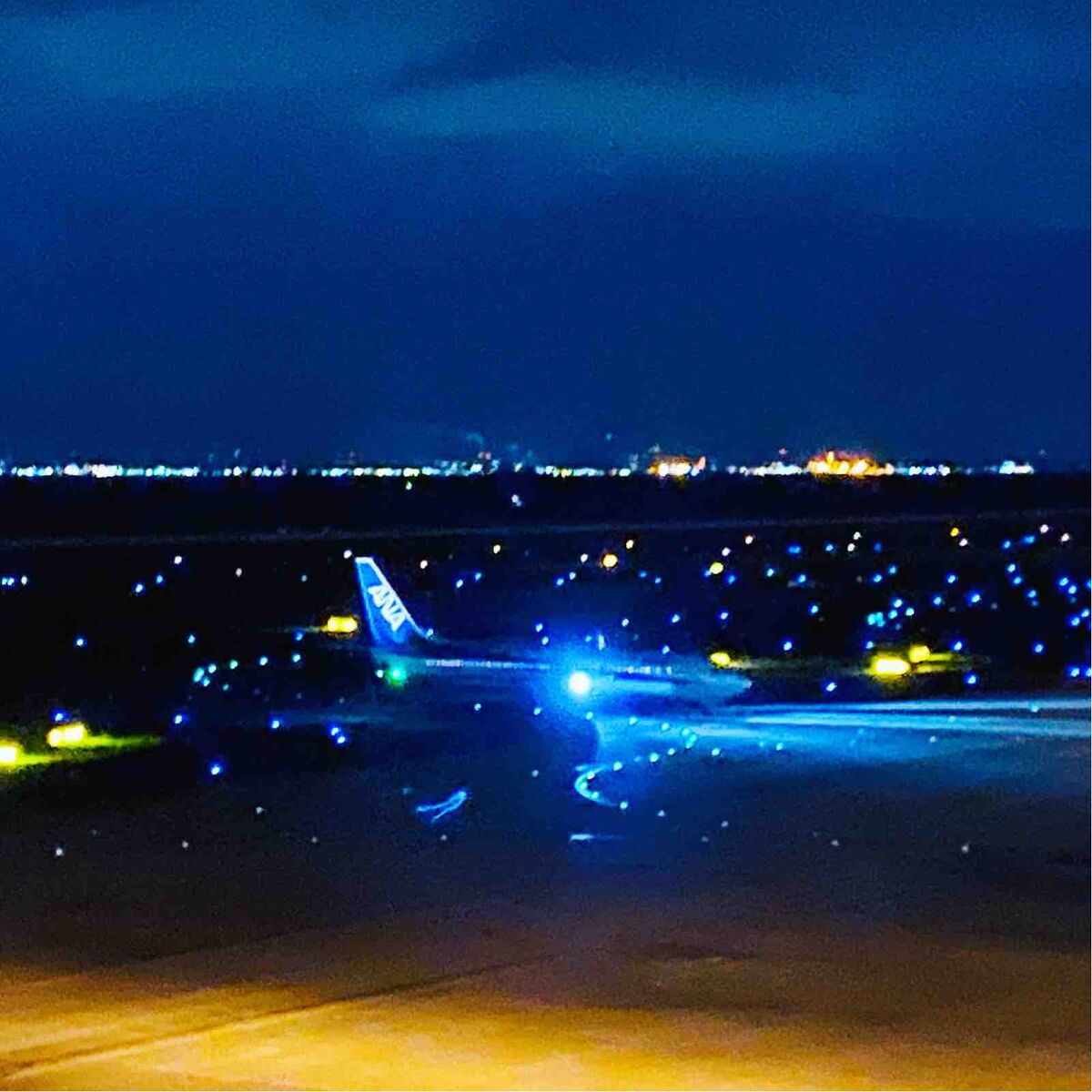 どうしても飛行機に乗りたくて 東京出張を飛行機で セントレア なおみの今夜も朝帰り