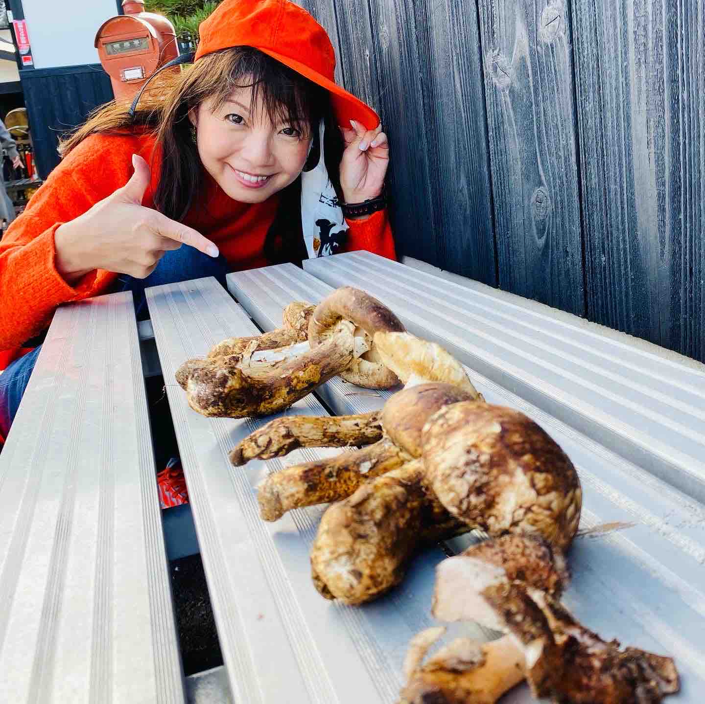 熟女狩 初めての松茸狩り！魚松 信楽店｢あばれ食い」前にトライしてみました | 丹羽直美 | 読者ブログ