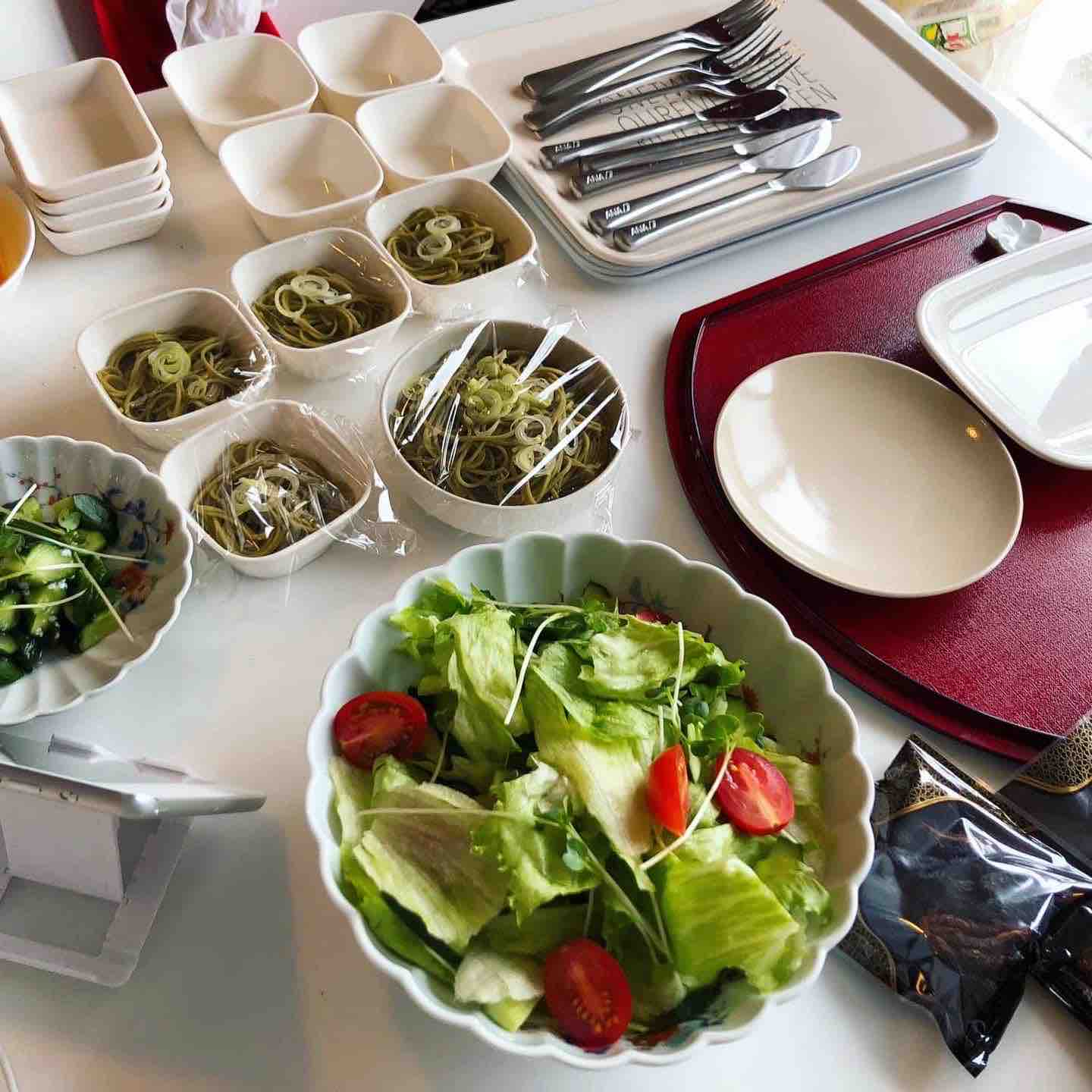 ANA 機内食ごっこ　食器　カトラリー 複数あります/購入歓迎】ANA 機内食ごっこセット(グレー