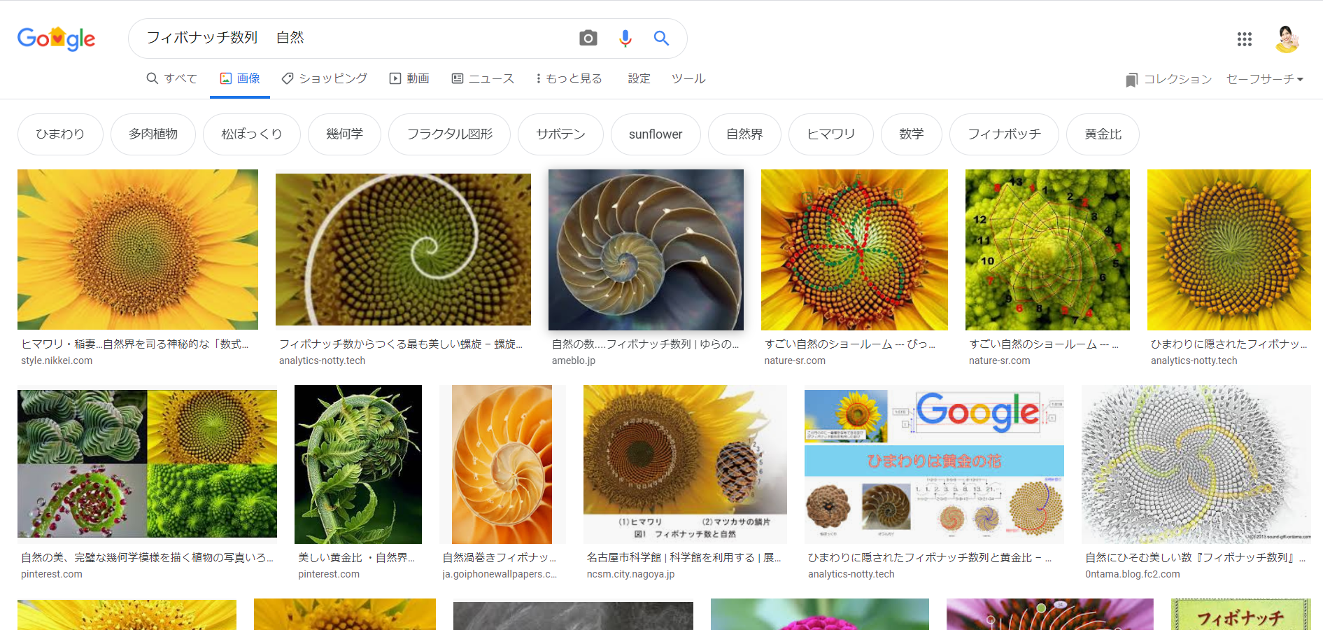 ナオミFXFX / 初心者講座      テクニカル分析のはじめ方⑤ーテクニカル指標「フィボナッチ・リトレースメント」