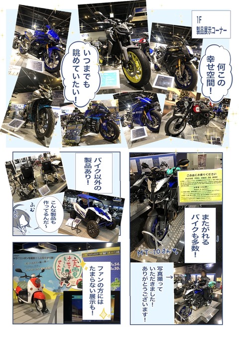 S__11272215