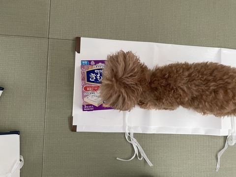 FullSizeRender