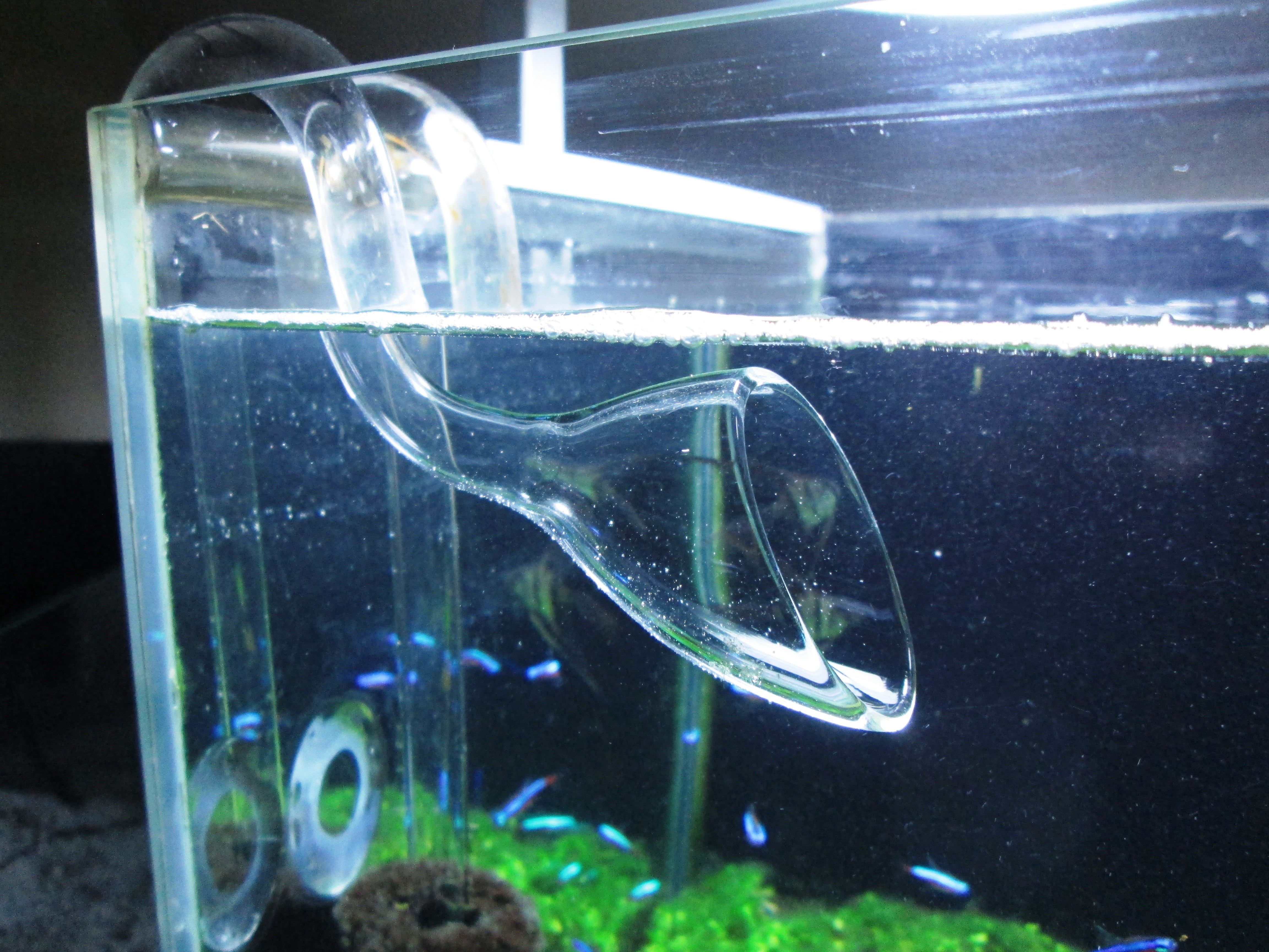 輝く高品質な RedBeryl ポピー クリア ガラス 給水 排水 16 22mm セット 水槽 水草 熱帯魚 給排水 RedBeryl リリィ クリア ガラス 給水 排水 12 16mm セット 水槽 水草 熱帯魚 (リリィ 給排水 セット 12 16mm)