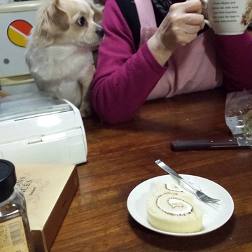 1499750_213343698850482_133491174_n