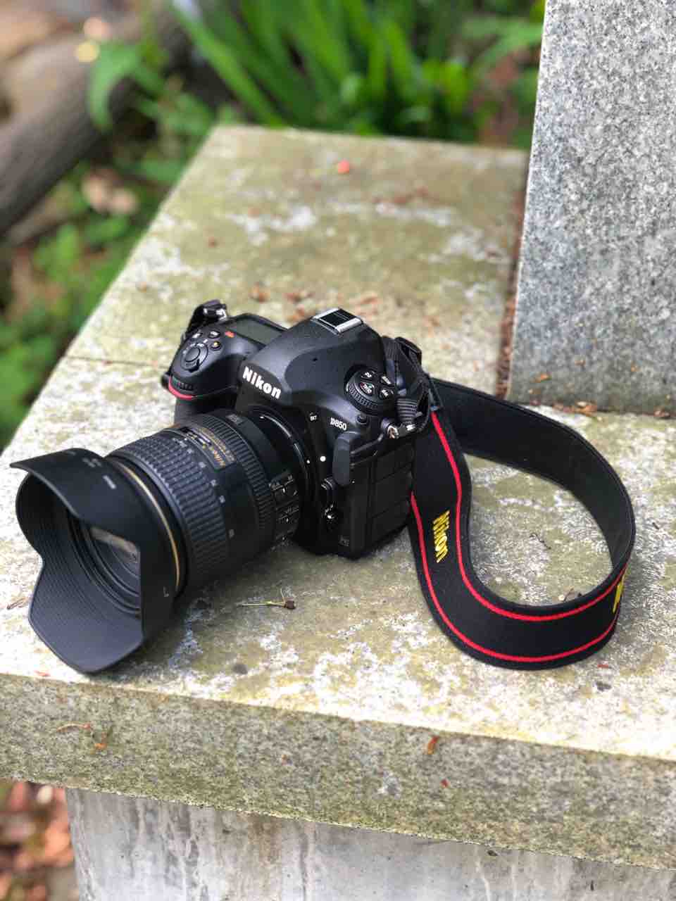 なおさんの「徒然日記」 : 「Nikon 標準ズームレンズ AF-S NIKKOR 24-120mm f/4G ED VR」とお散歩！