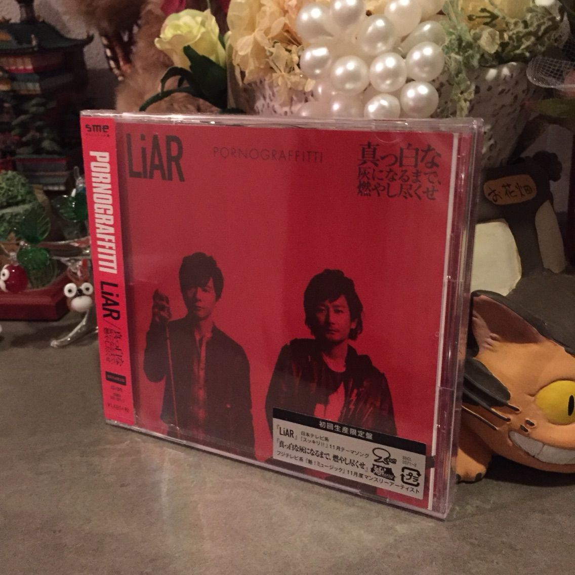Cd Liar 真っ白な灰になるまで 燃やし尽くせ ポルノグラフィティ 届く なおさんの 徒然日記 Cd Liar 真っ白な灰になるまで 燃やし尽くせ ポルノグラフィティ 届く なおさんの 徒然日記