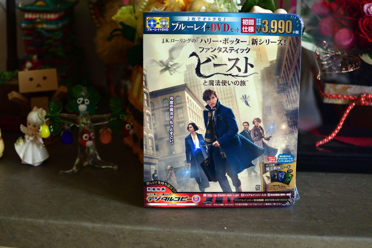 ファンタスティック ビーストと魔法使いの旅 ブルーレイ Dvdセット 届く なおさんの 徒然日記