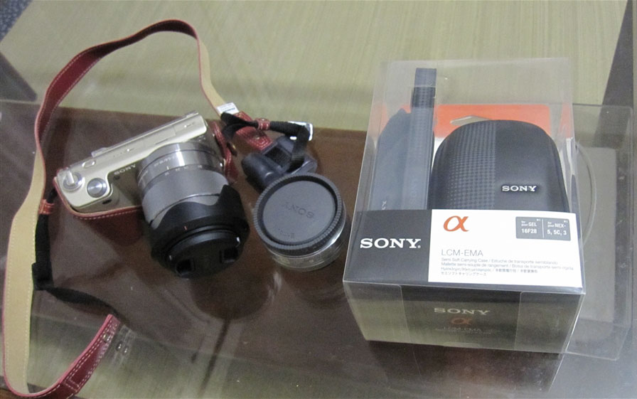 ソニー SONY セミソフトキャリングケース ピンク LCM-EMA/P