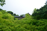 26.7.10(東福寺2)