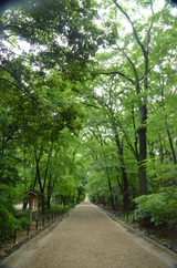 26.7.10(下加茂神社1)
