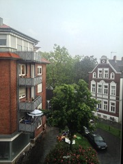 photo 1(1)