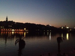 IMG_0267