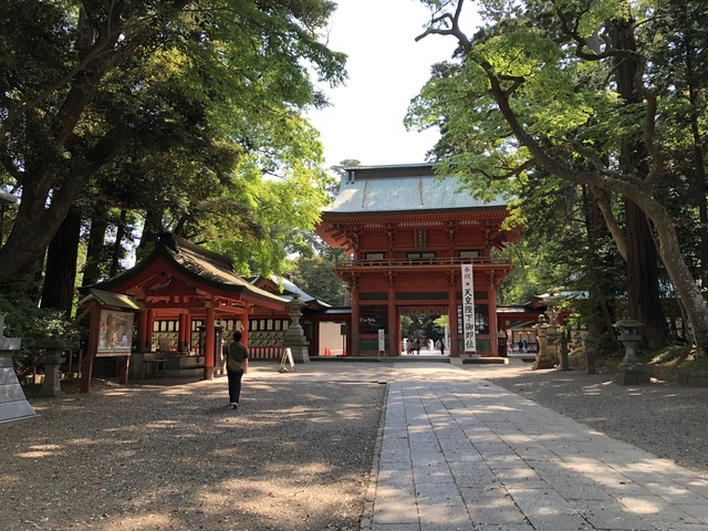 写真 2019-05-12 8 58 02