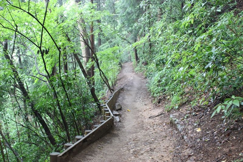 Decathlon デカトロンは登山 スポーツアイテム界のユニクロ的存在 個人的なイメージ 日刊また旅しんぶん