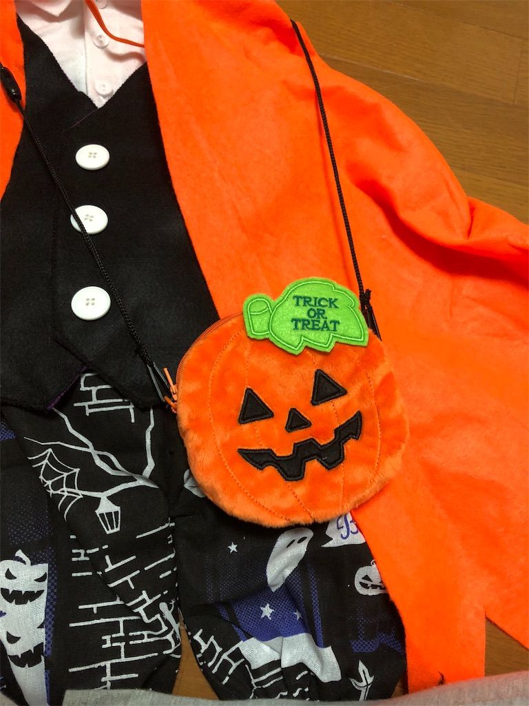 f:id:naotarotarou:20181019200933j:image
