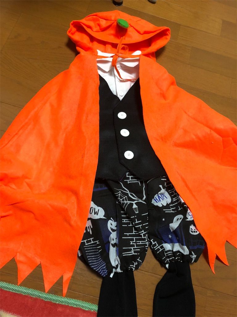 f:id:naotarotarou:20181019193607j:image