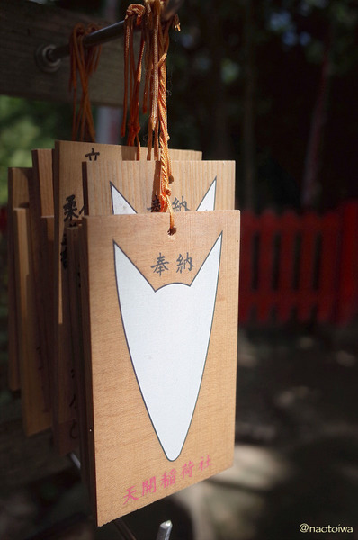 fox faces