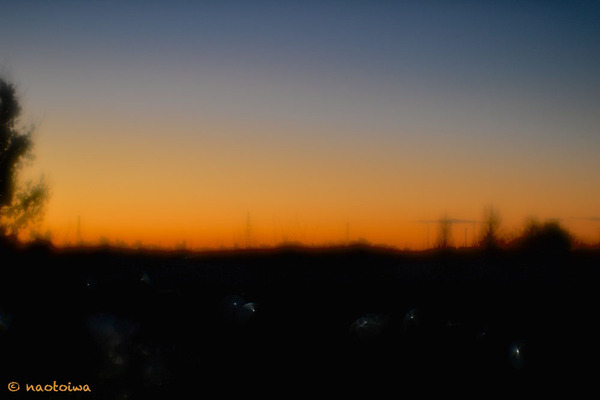 dawn