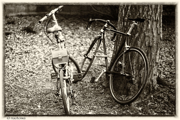bicycles