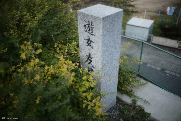 浄運寺2