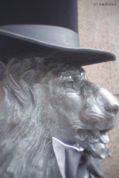 lion