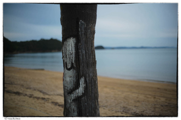 on the beach in autumn
