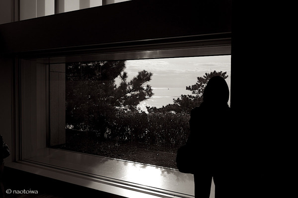 海を見ていた午後