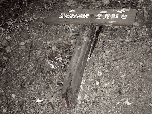 遊覧道