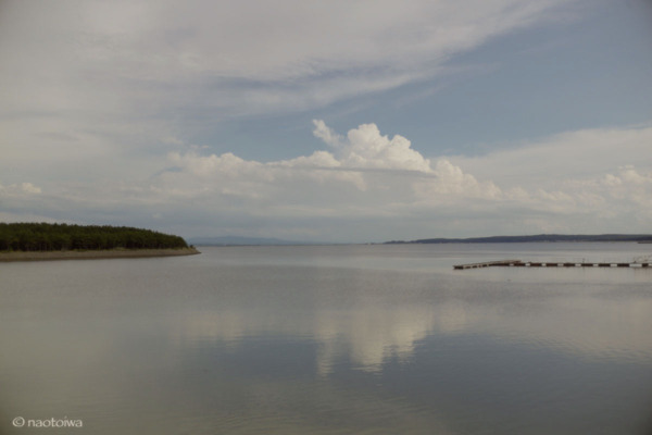 孤独の水たまり