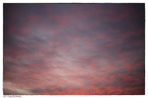 赤い空