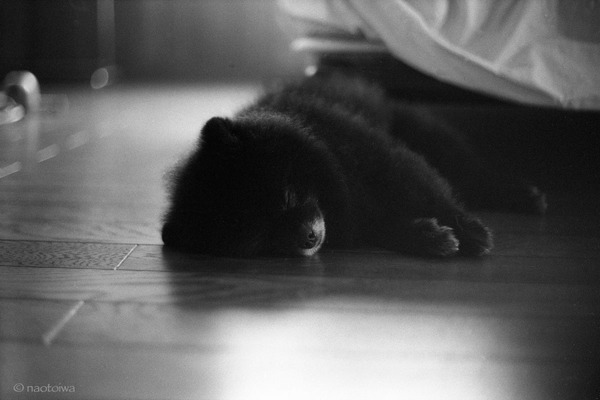 good dream