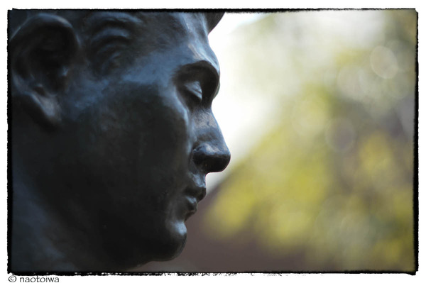 profile