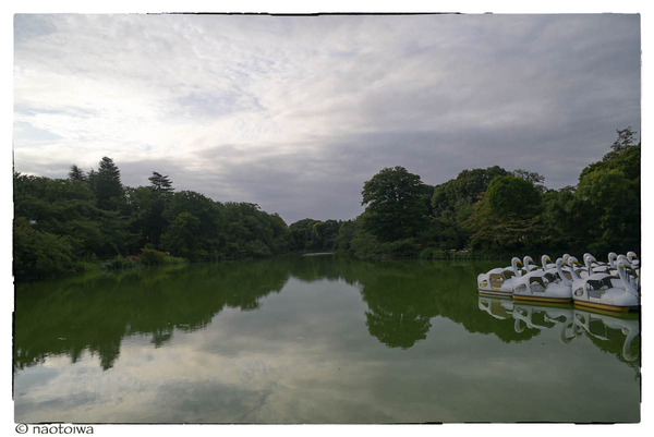 Nikkor24F2.8