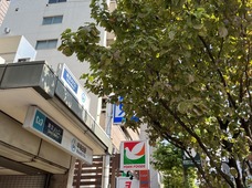 IMG_3261