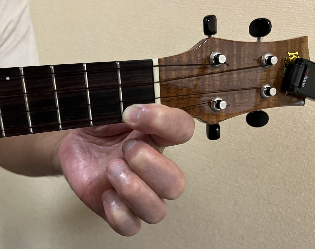 コードチェンジ 練習方法♪ : ウクレレな毎日♪