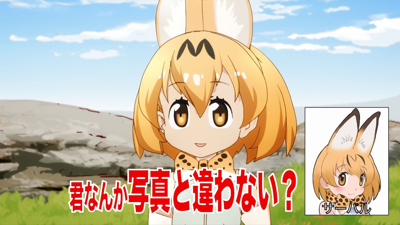 けものフレンズとかいう神アニメwwwwwwwwww えびフライ速報
