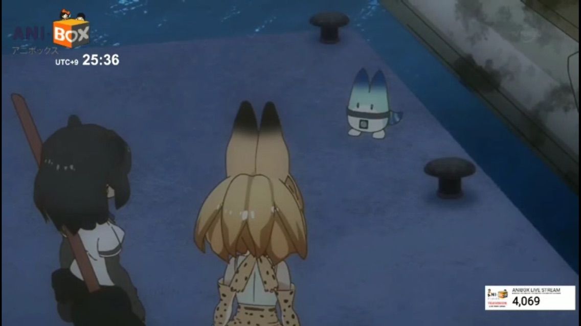 けものフレンズ １２話感想 かばんちゃんの正体が明かされる えびフライ速報