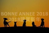 CHIEN 2018