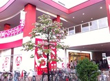 19e3fa78.jpg
