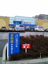 5769b391.jpg
