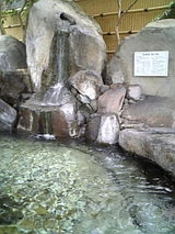 d8b3adf5.jpg