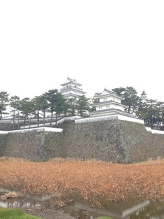 画像6