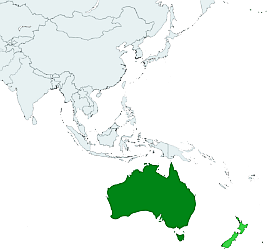 File-Australia, New Zealand, United Stat