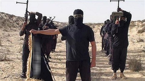 8759083f-cf41-4a12-9e9a-4573d50054c9