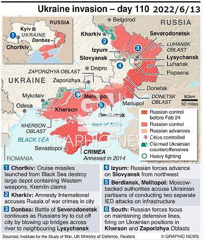 FireShot Webpage Screenshot #1579 - 'UKRAINE_ Situat