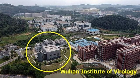 NINTCHDBPICT000585421196