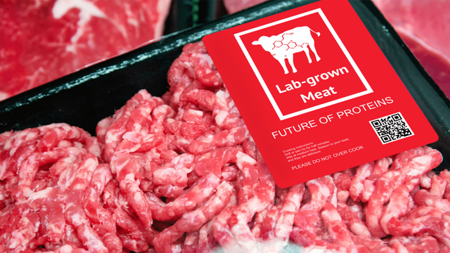 Cultivated-meat-Robyn-Warner-Food-Aus